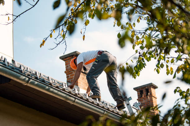 Best Flat Roofing  in Poplar Plains, CT